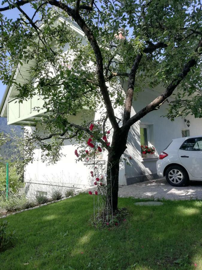 Apartma Neza Bled Exterior foto